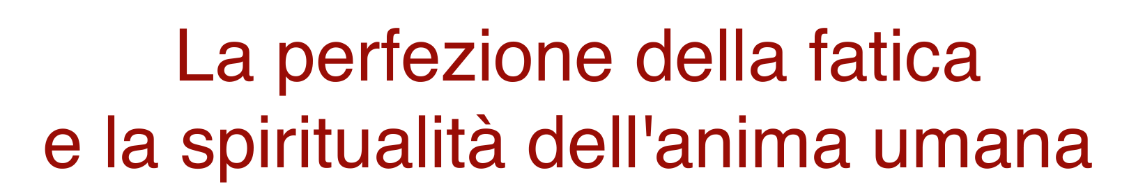 05 Barzaghi TOP