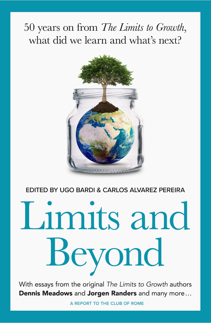 10_Copertina_libro_Limits_and_Beyond.jpg